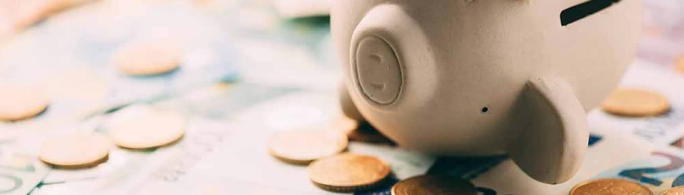 Domum Sindicato Social - Asesoramiento gestión ayudas y subvenciones