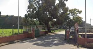 Domum sindicato social - Blog - Nylstar retira el expediente de regulación de empleo